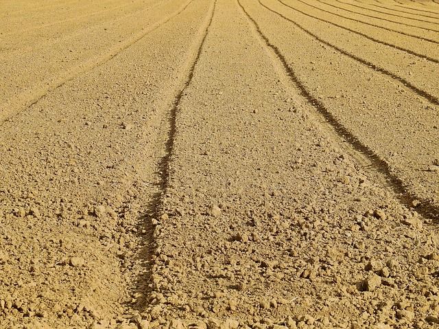 Ein Erdboden auf dem gebaut werden kann